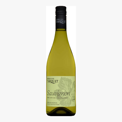 Tariquet Sauvignon Blanc 2023, Domaine du Tariquet, Côtes de Gascogne, Frankreich 
            Der Weißwein des Jahres aus Frankreich.*
            *Weinwirtschaft 01/2023 über den Jahrgang 2021
        