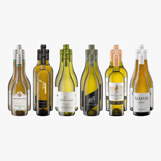 Weinsammlung - Die kleine Weißwein-Sammlung Sommer 2024, 24 Flaschen Wenn Sie einen kleinen, gut gewählten Weinvorrat anlegen möchten, ist dies jetzt besonders leicht.