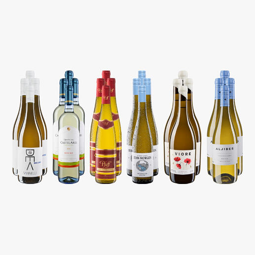 Acht verschiedene Flaschen Weißwein aus der kleinen Weißwein-Sammlung Sommer 2025 auf weißem Hintergrund.