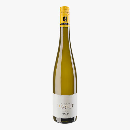 Flasche Sulzfelder Silvaner trocken 2024 mit feuchter Oberfläche.