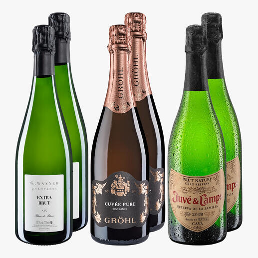 Set von fünf Flaschen Schaumweinen für festliche Anlässe.