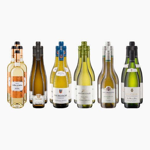 Weinsammlung mit acht verschiedenen Weißweinflaschen für den Hochsommer 2025.
