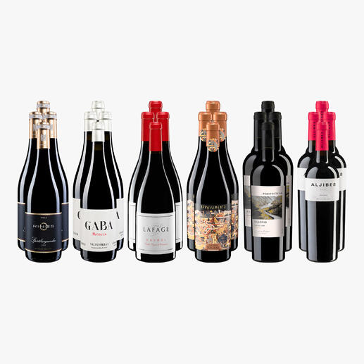 Sortiment von 24 Rotweinen in einer kleinen Rotwein-Sammlung für den Hochsommer 2025.