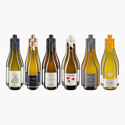 Vielfältige Weißwein-Sammlung mit sechs verschiedenen Flaschen