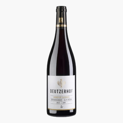 Ahrweiler Daubhaus Wein, 2023 Jahrgang in stilvoller Flasche.