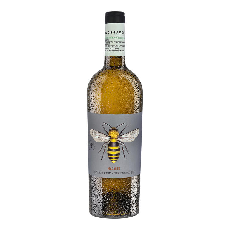 Bodegaverde Macabeo 2023, Bodega San Valero, Cariñena DOP, Spanien