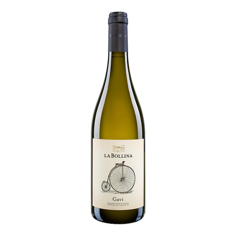 Gavi 2024, La Bollina, Gavi DOCG, Italien