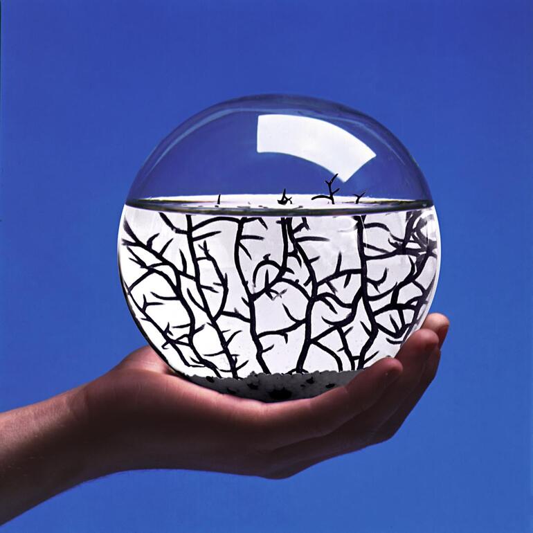 Ecosphere®, Rund Ecosphere mit schwarzen Ästen in transparentem runden Behälter auf Hand