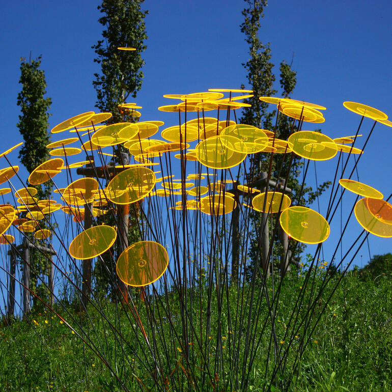 Viele gelbe Sonnenfänger-Scheiben auf Stäben in einem Garten.