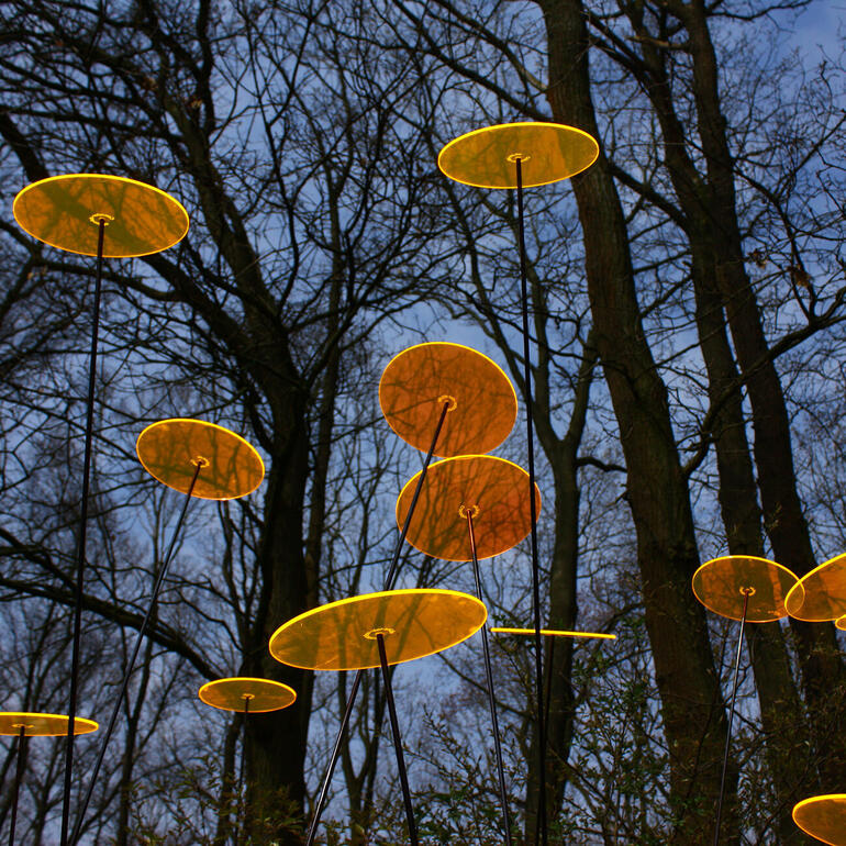 Besonders intensiv tritt das Leuchten in der Dämmerung (und bei bewölktem Wetter) hervor. (Foto: Sabine Berger) Cazador-del-sol Sonnenfänger-Scheiben, 9er-Set in der Dämmerung