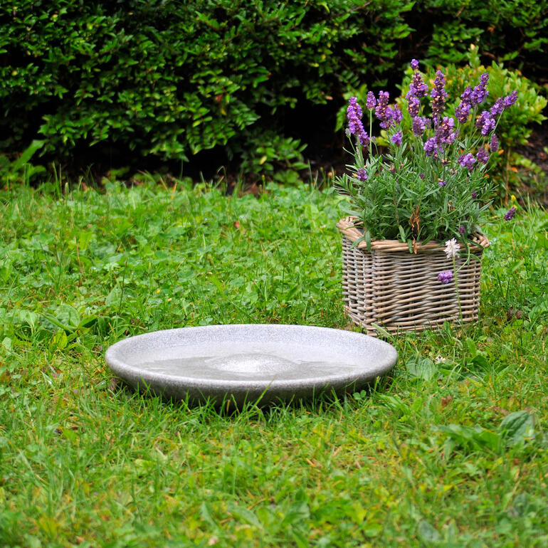 Auch die Mittelinsel ist sehr geschätzt: für erholsame Pausen und als Badeplateau. Vogeltränke steht neben einem Blumenkübel auf dem Gras.