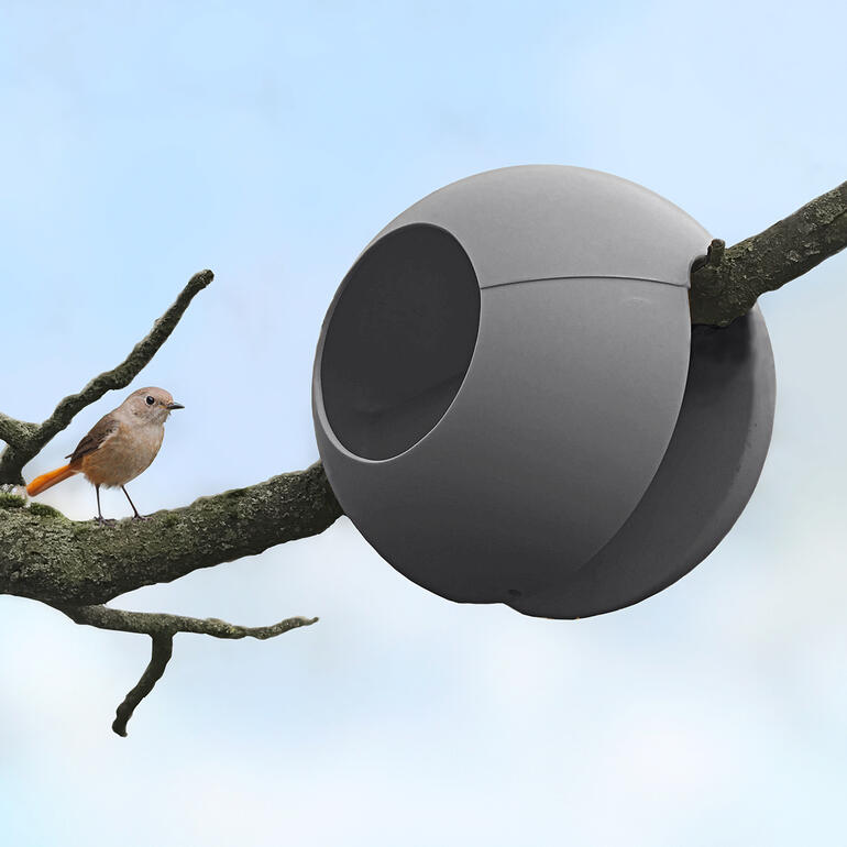 Nicht nur am Balkon- oder Terrassengeländer: Auch an einem Ast bis max. 6 cm Ø zu befestigen. Anthrazitfarbendes Geländerfutterhaus für Vögel mit einem Vogel daneben.