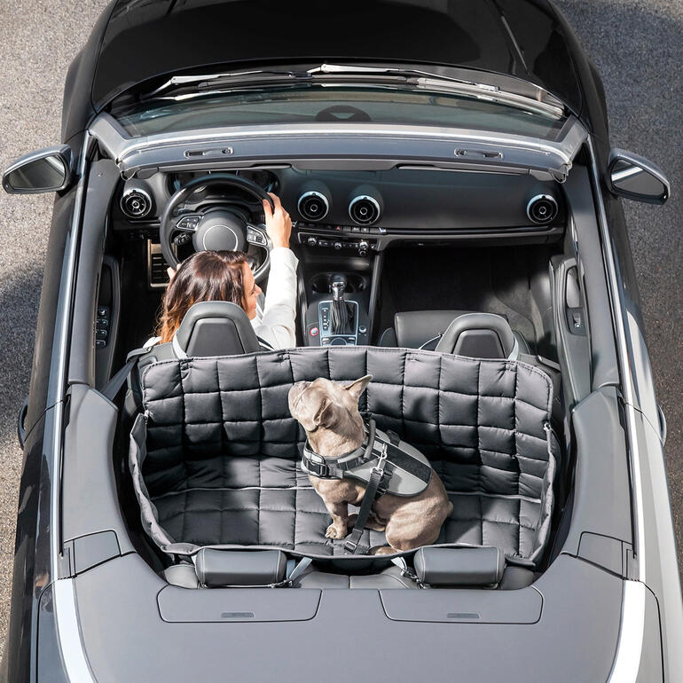 Auto-Hundedecke mit Hund im Cabrio