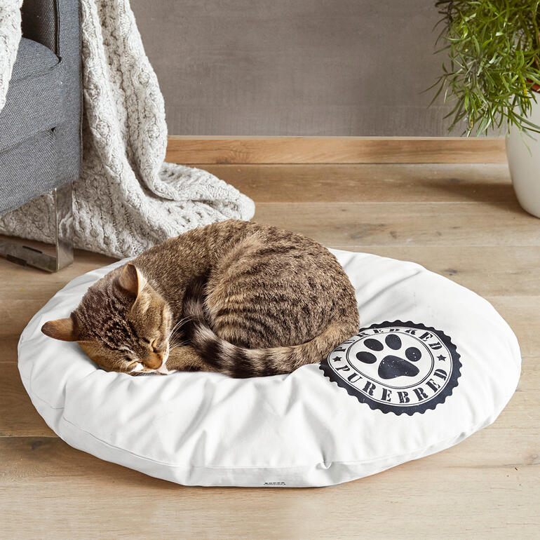 Katzenkissen Schlafende Katze auf einem runden, weißen Kissen.