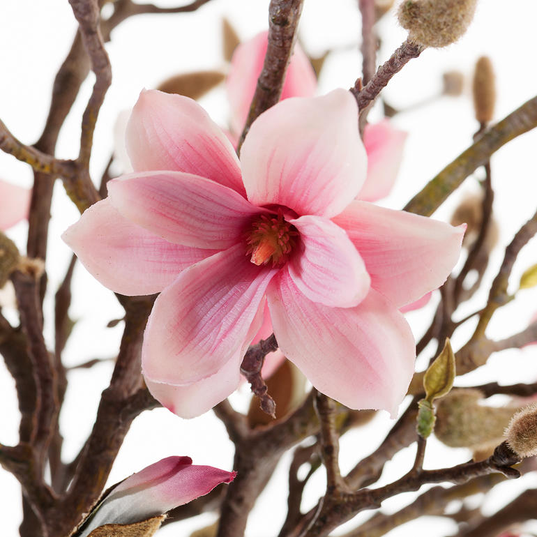 In Optik und Haptik täuschend echt – wie naturgewachsen. Magnolienstrauß mit blühenden rosa Blüten auf weißem Hintergrund