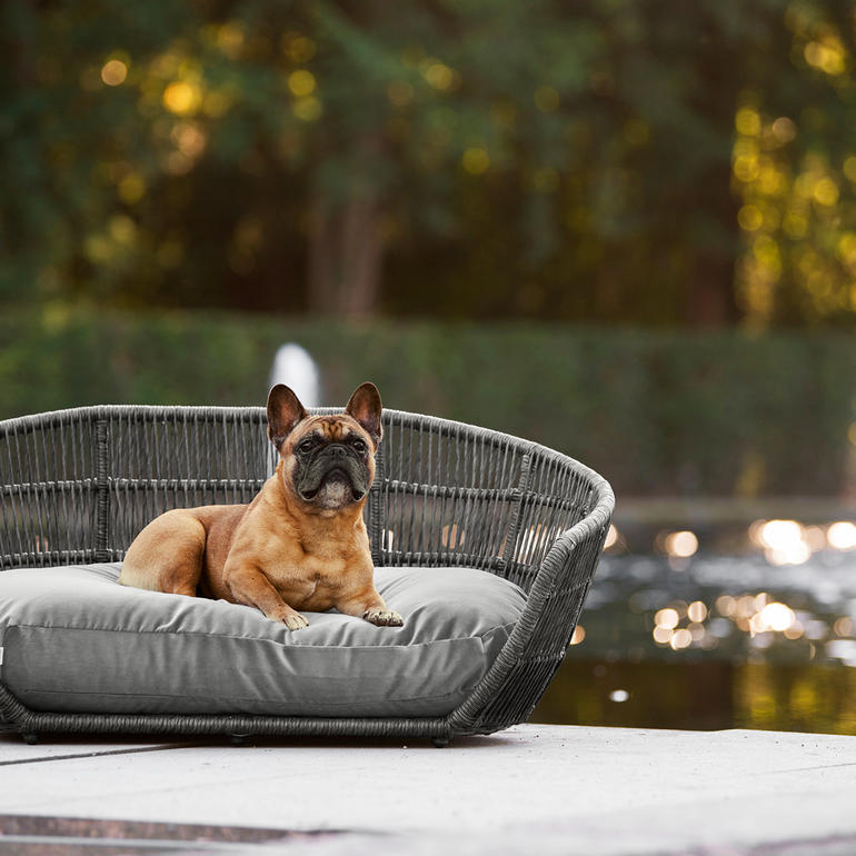 Design-Hundebett Französische Bulldogge entspannt auf einem Design-Hundebett im Freien