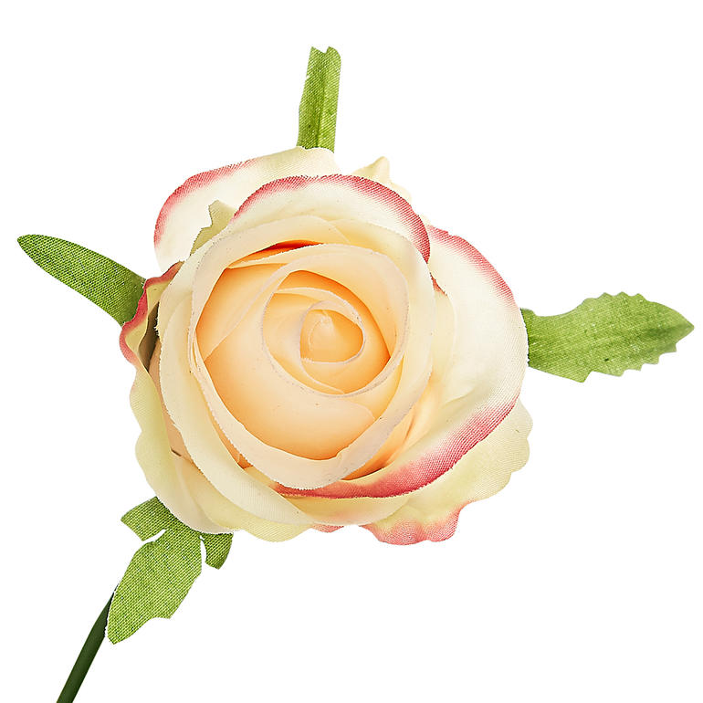 Sogar aus der Nähe wirken die Blütenköpfe so echt, dass man an ihnen schnuppern möchte. Rose in sanften Farben mit grünen Blättern