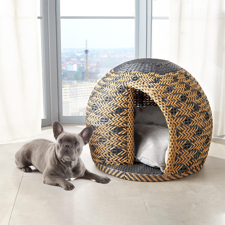 Der optimale Rückzugsort für Ihren Liebling: robust, dekorativ und schützend. Hund vor einem runden Tierhaus aus geflochtenem Material, in einem modernen Raum.