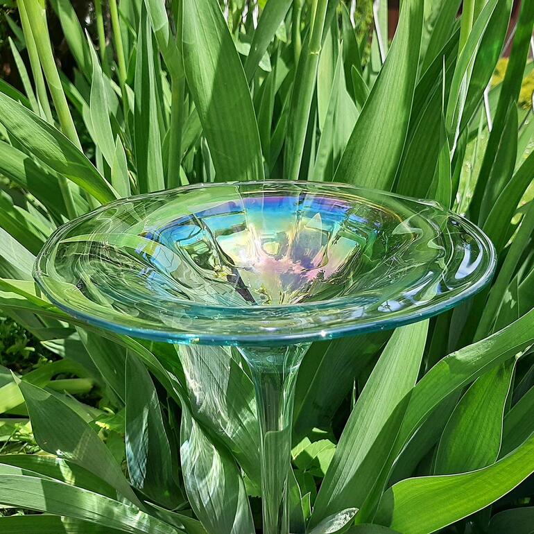 Regenbogenglas-Vogeltränke Regenbogenglas-Vogeltränke inmitten von hohen Pflanzen.