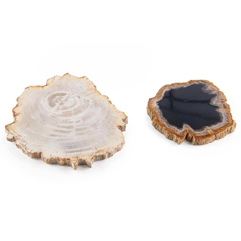Untersetzer aus fossilem Holz, 2er-Set Zwei Holzuntersetzer in verschiedenen Designs.