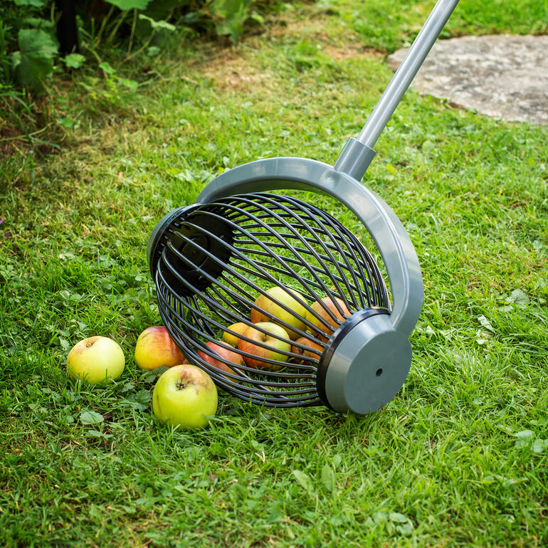 Rollsammler, groß Großer UPP® Rollsammler zum Einsammeln von Äpfeln im Gras.
