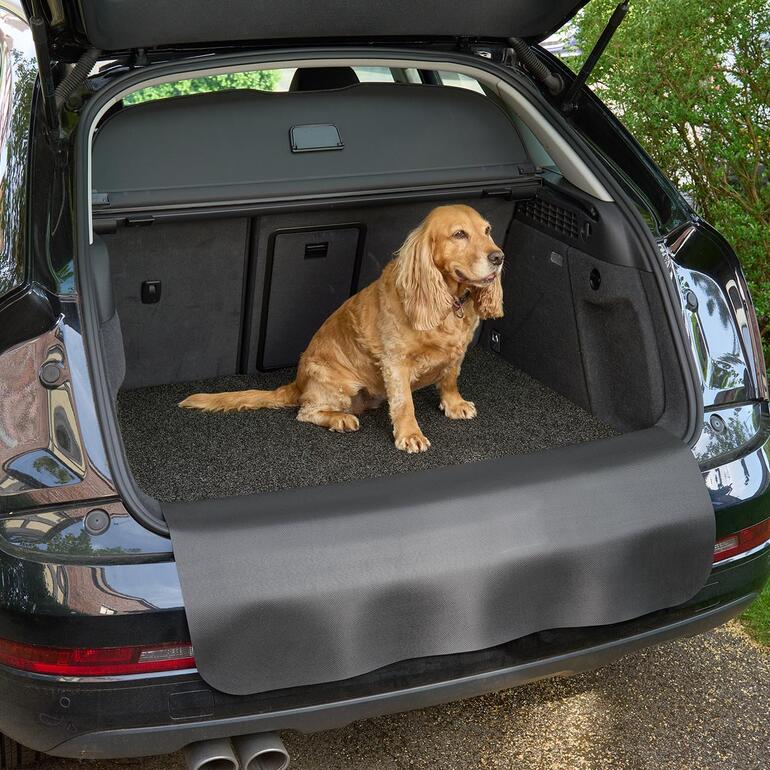 Ideal auch, wenn Vierbeiner im Kofferraum mitfahren. Hunde sitzt auf einer Kofferraummatte im Auto