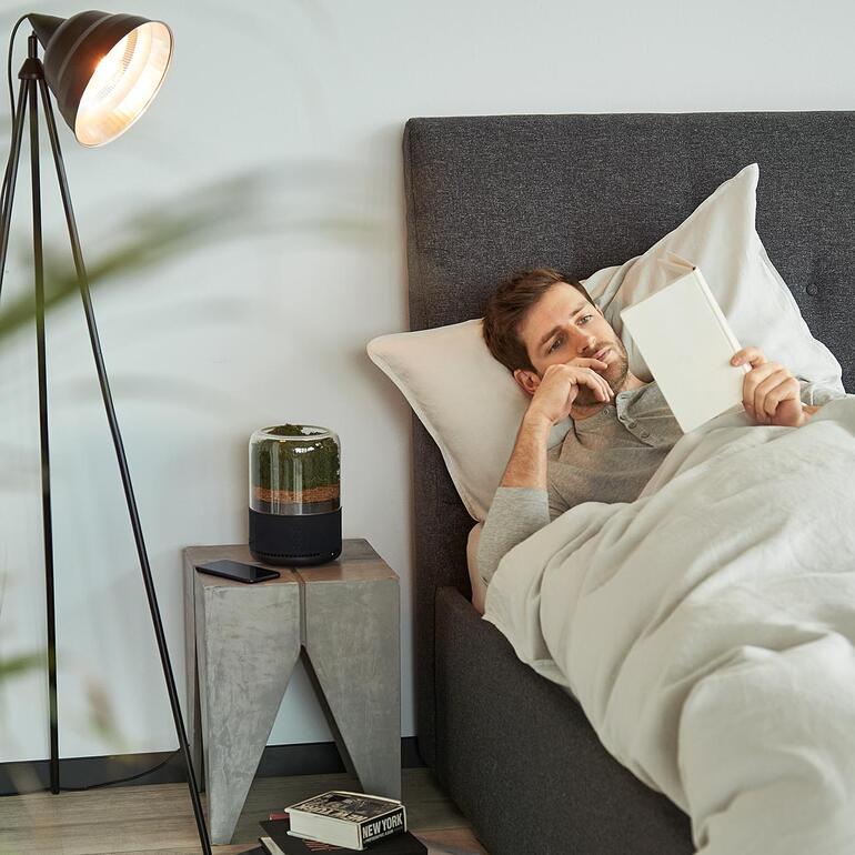 Natürlicher Luftreiniger Mann im Bett liest ein Buch neben einem natürlichen Luftreiniger.