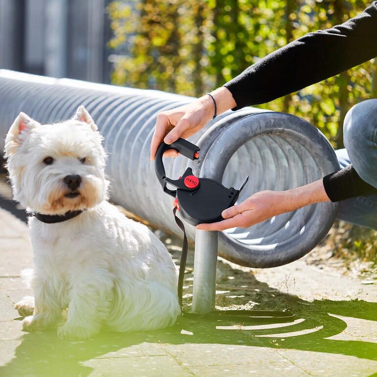 Mit einem Handgriff leinen Sie Ihren Hund an – ohne mühsames Knoten. Hund neben einem Mann, der eine Roll-Leine mit Einhakfunktion benutzt.