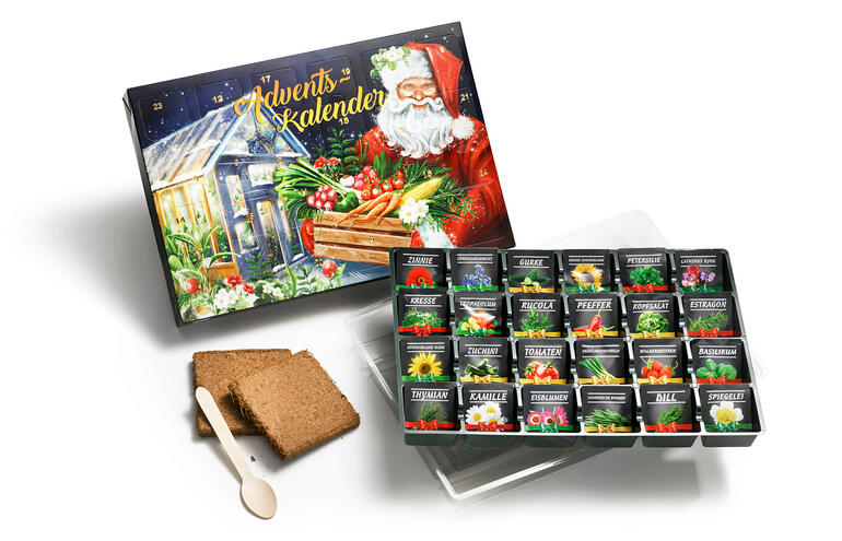 Freuen Sie sich auf 24 Samentütchen für diverse Salate, Kräuter, Gemüse oder Blumen – plus 1 Mini-Gewächshaus als Extra-Überraschung (inkl. Anzuchterde und Deckel für die Keimlinge). Öffneter Saat-Adventskalender mit verschiedenen Saatpäckchen und Lebkuchen.