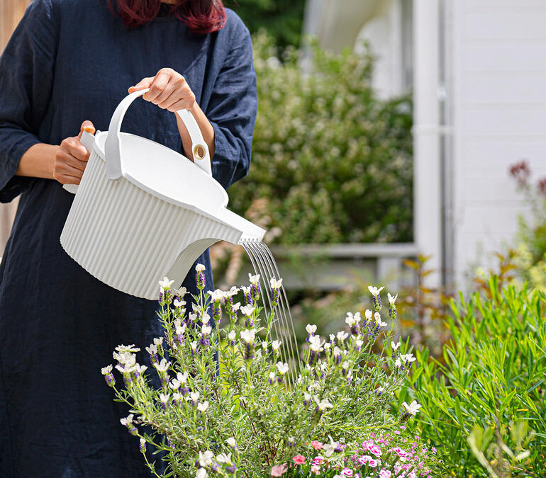 Gießkanne Frau gießt Blumen mit einer Gießkanne im Garten