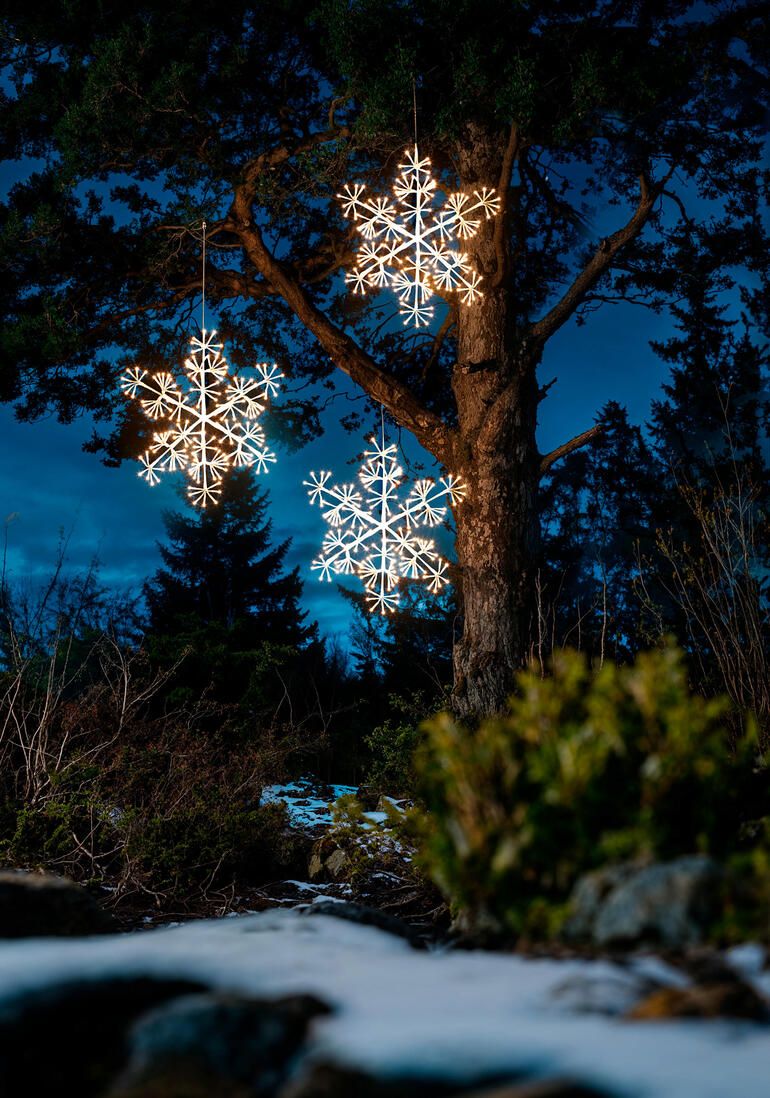 Schneeflockenlichter hängen an einem Baum in einer Winterlandschaft.