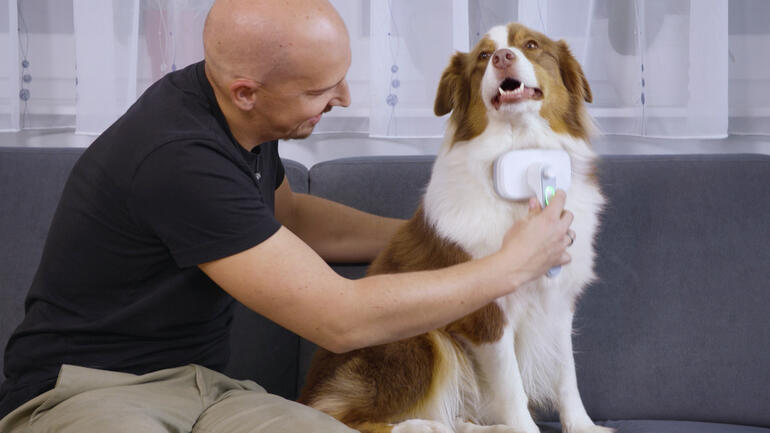 Mann bürstet einen Hund mit einer Tierhaarbürste auf dem Sofa.