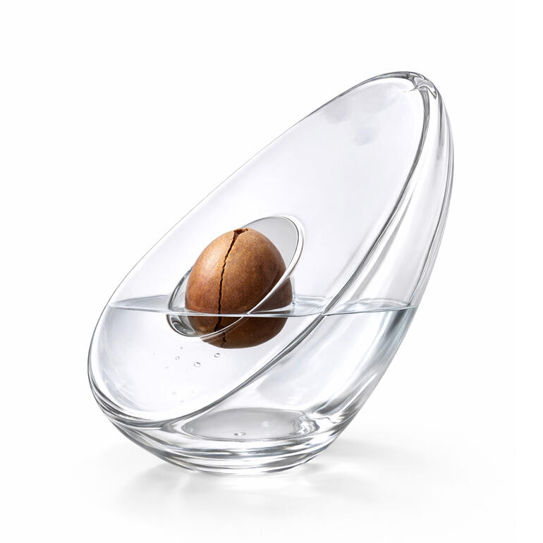 Avocado-Vase mit einer Avocado-Steine in Wasser gehalten in einer eleganten Form.