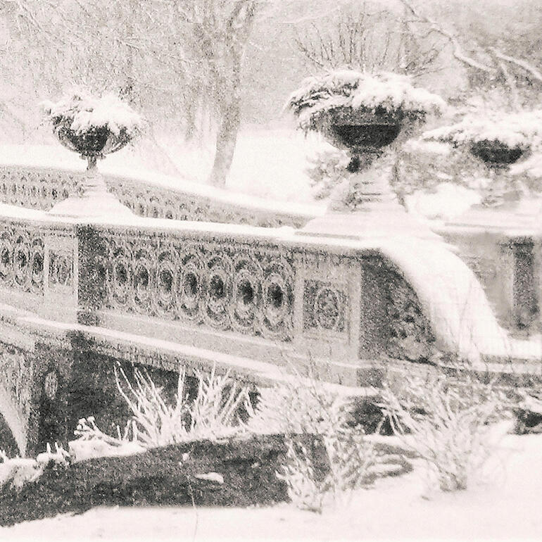 Über 1 Million handgemalte Striche lassen das Werk fotorealistisch wirken. Naheaufnahme einer Brücke in Central Park, umgeben von verschneiten Pflanzen.