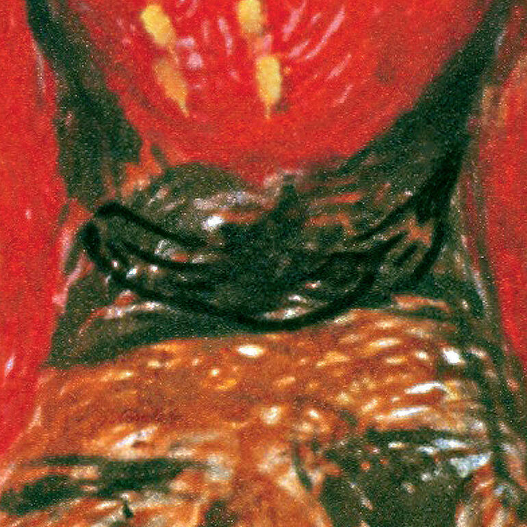 Baumgärtels Erdbeeren bestehen aus hunderten Bananen. Detailaufnahme einer roten Fläche mit braunen und gelben Akzenten.