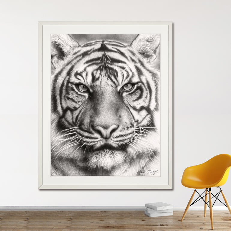 Koshi Takagi – Eyes of the tiger Porträt eines Tigers in Schwarzweiß, gerahmt an einer Wand.
