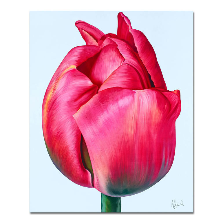 Detailreiche Malerei einer großen, roten Tulpe auf leichtem Hintergrund.