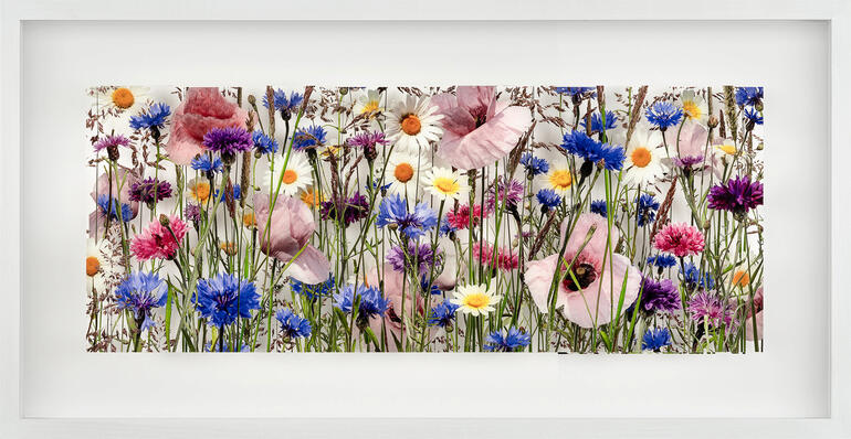 Bunte Wiese mit verschiedenen Blumen in einem rechteckigen Rahmen.