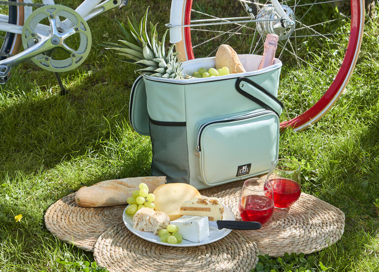Komfortable Fahrradkorb-Kühltasche mit Lebensmitteln auf dem Rasen.