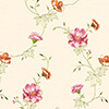Creme/Fuchsia