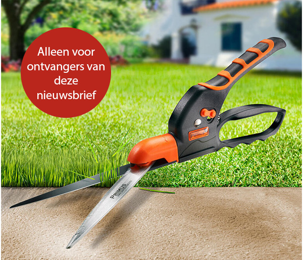 Afbeelding 1