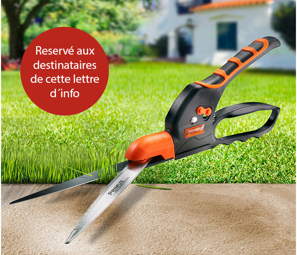 Graphique 1