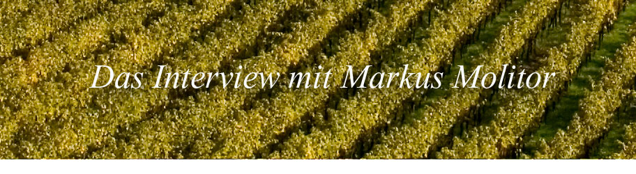 Interview mit Markus Molitor