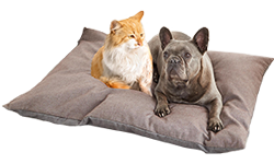 Besondere Geschenke für Tierfreunde